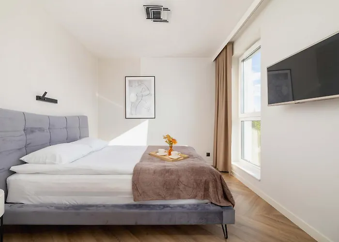 Air Conditioned In With Parking And Desk By Renters * טיצ'י